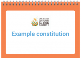 Example constitution