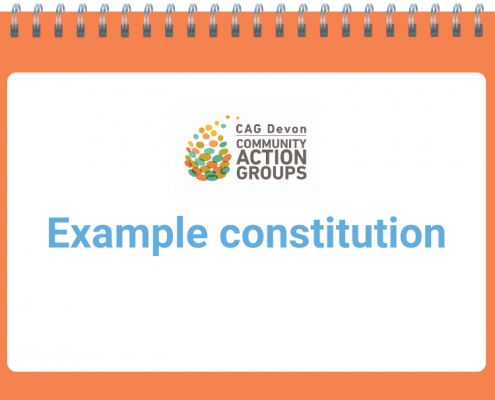 Example constitution