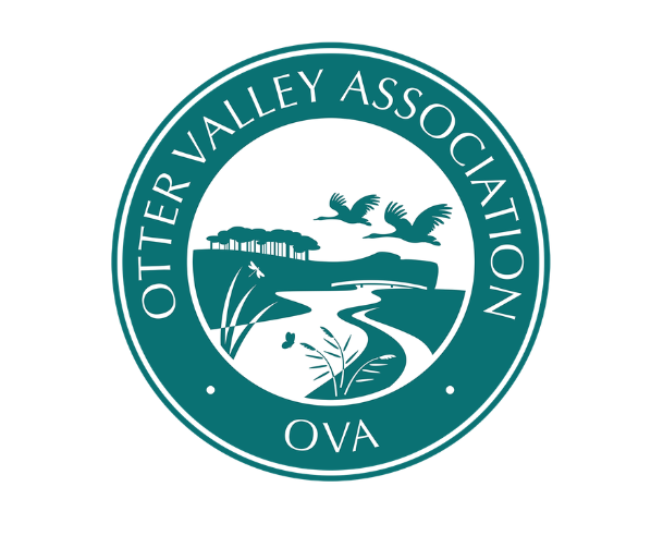 OVA resized
