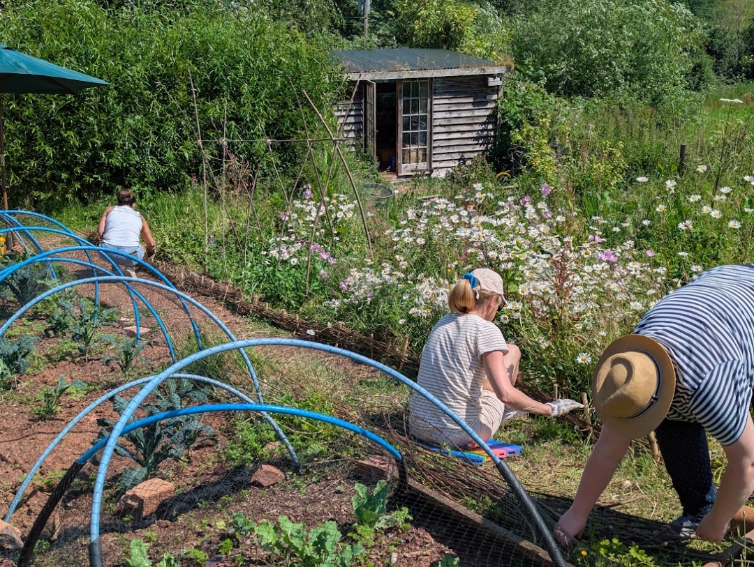 Volunteers working in a community garden