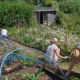 Volunteers working in a community garden