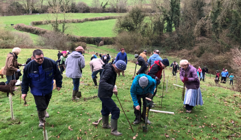 Screenshot 2024 06 27 163130 768x448