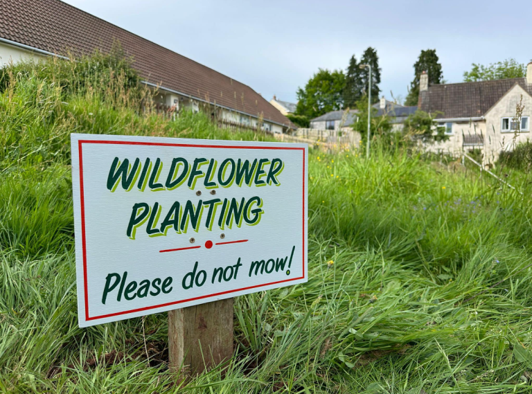 Screenshot 2024 06 28 105420 768x569