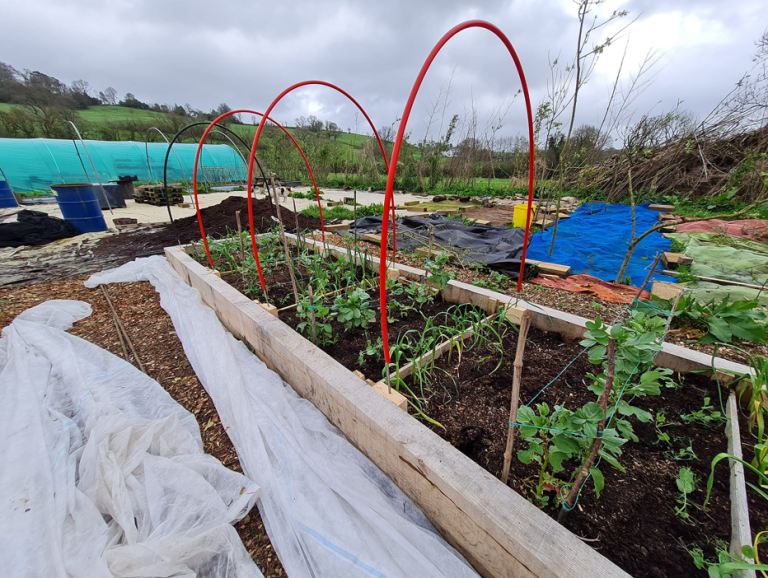 Screenshot 2024 06 28 142310 768x578