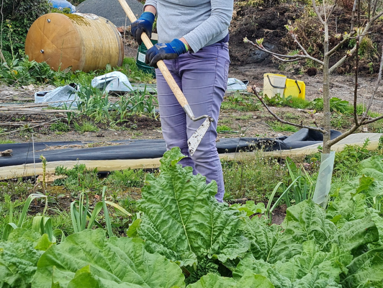 Screenshot 2024 06 28 142359 768x577