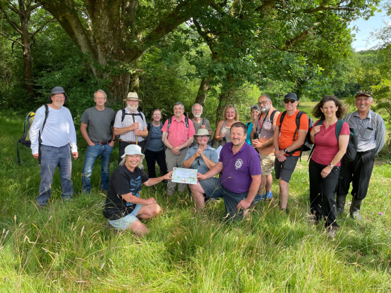 Screenshot 2024 07 02 151329 768x575