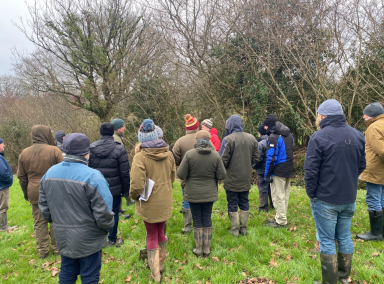 Screenshot 2024 07 02 151354 768x568