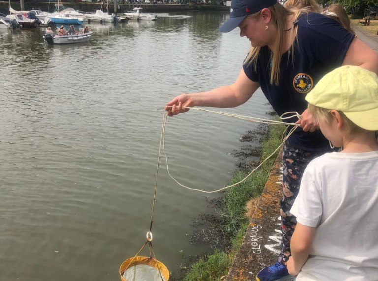 Screenshot 2024 07 02 161604 768x572