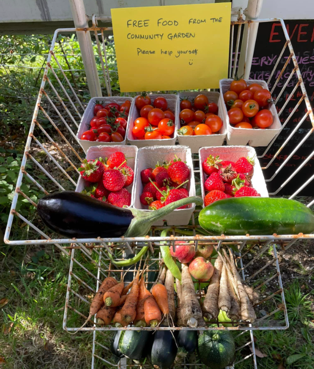 Screenshot 2024 10 15 162905