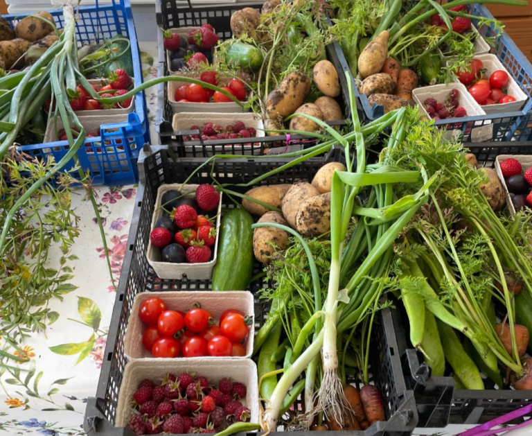 Screenshot 2024 10 15 162922 768x629