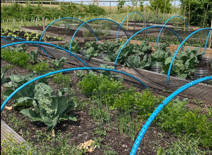 Screenshot 2024 10 15 162949