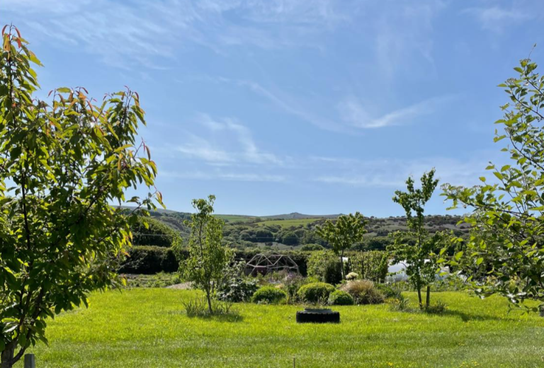 Screenshot 2024 10 15 163047 768x520