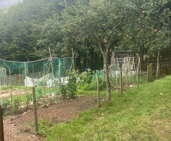 Screenshot 2024 10 16 095858