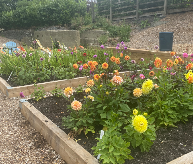 Screenshot 2024 10 16 095914