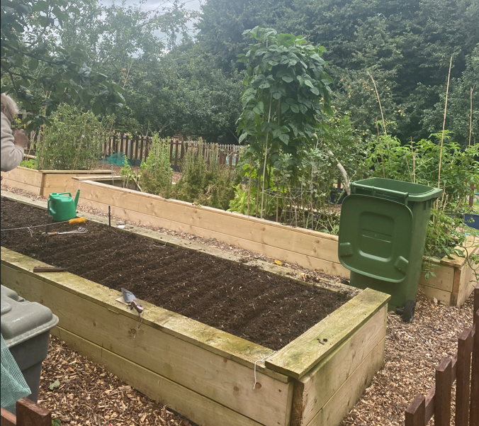 Screenshot 2024 10 16 095926