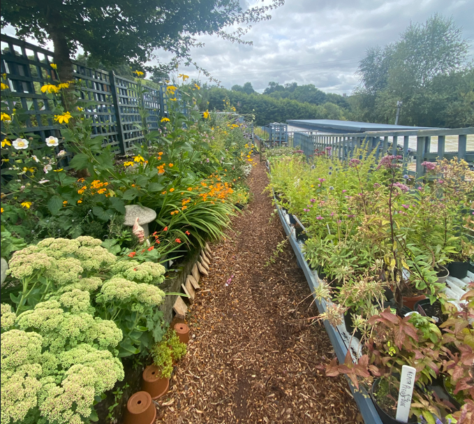 Screenshot 2024 10 16 095940