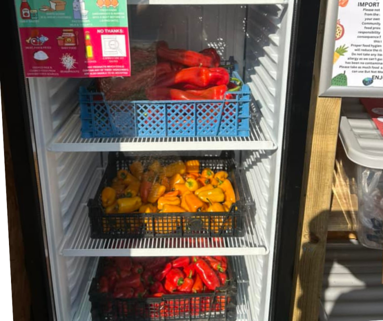 Untitled design 80 768x644