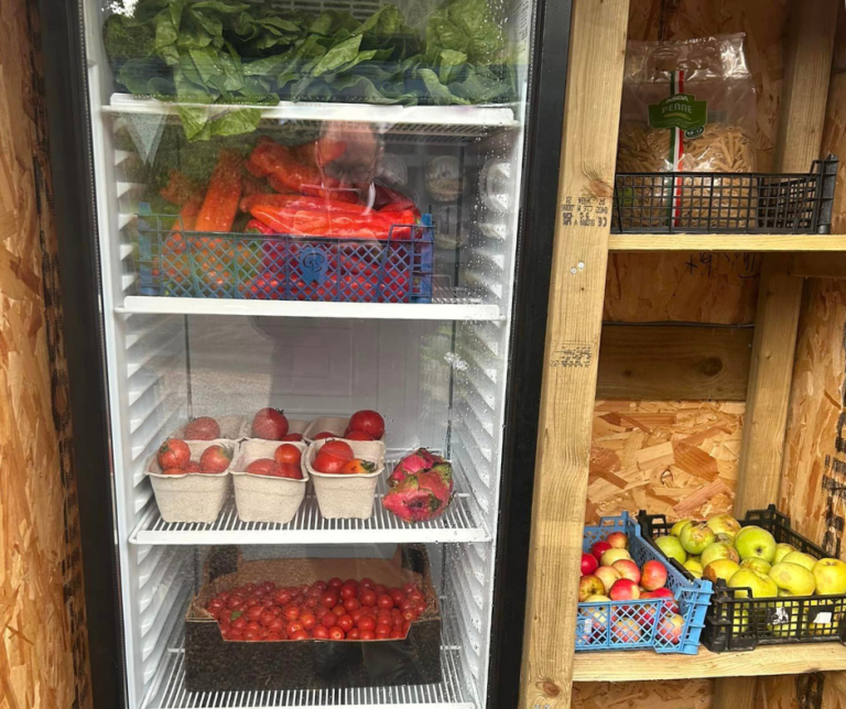 Untitled design 81 768x644