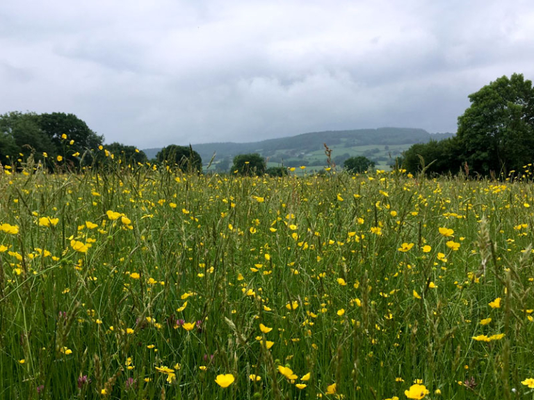 blackdown hills transition group 2 768x576